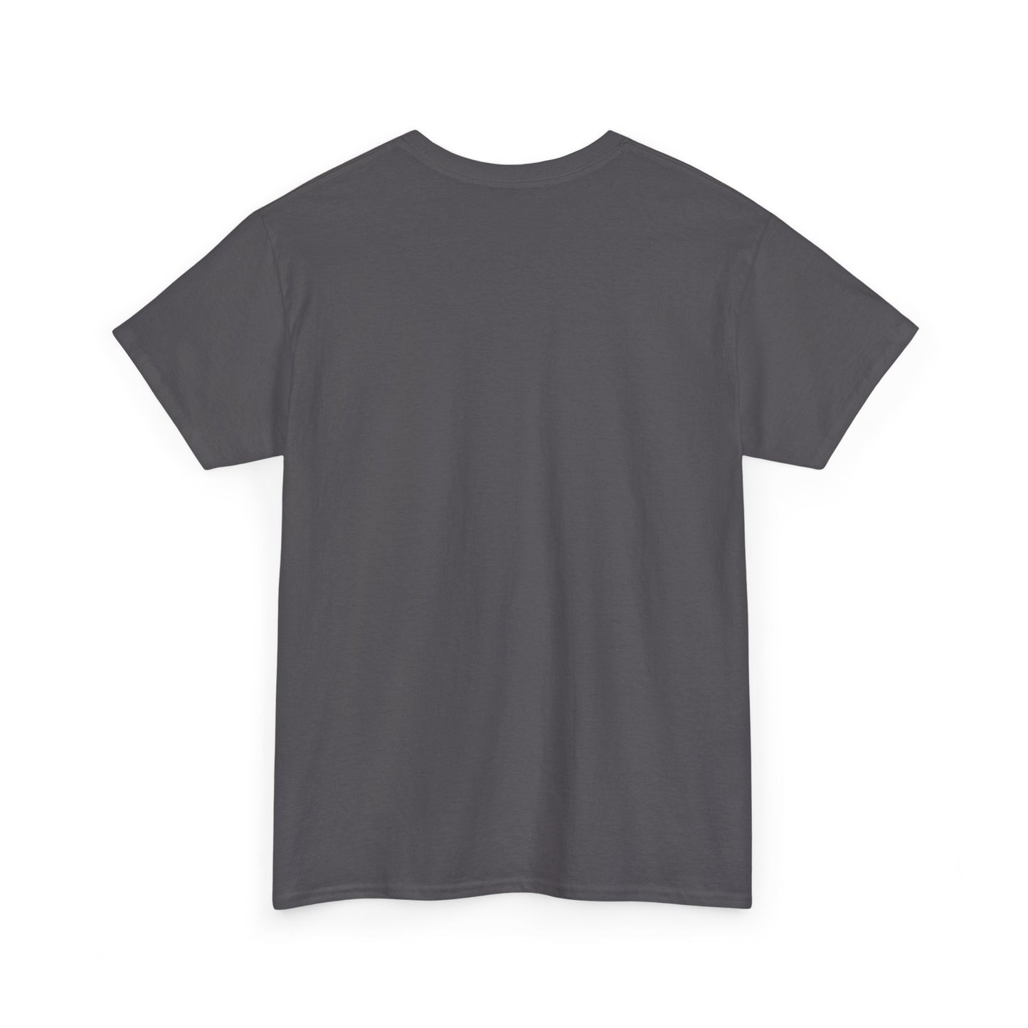 Voyage Nautical Compass T-Shirt — Adventure Beach Travel Graphic Tee